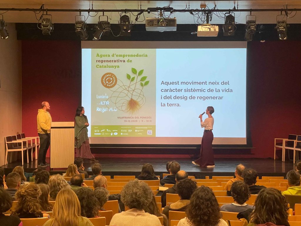 Agora de emprendimiento